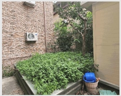  2025Ÿ51587  ûֽ  곲 884      ð