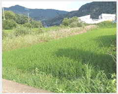  2025Ÿ51605  걺 ǳ ݸ 162-1      ()