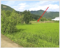  2025Ÿ51605  걺 ǳ ݸ 162-1      ()