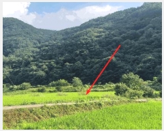  2025Ÿ51605  걺 ǳ ݸ 162-1      ()