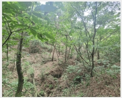  2025Ÿ51622  õ  ¶ 66      (Ӿ)