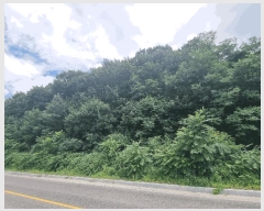  2025Ÿ51622  õ  ¶ 66      (Ӿ)