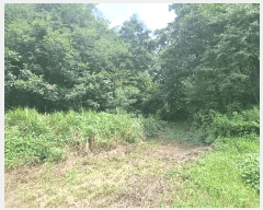  2025Ÿ51622  õ  ¶ 66      (Ӿ)