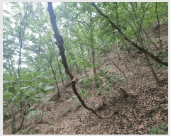  2025Ÿ51622  õ  ¶ 66      (Ӿ)