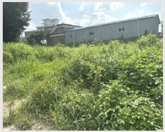  2025Ÿ��51635 ��� û�ֽ� û���� ���̸� �ݾϸ� 74     ����(��1)���