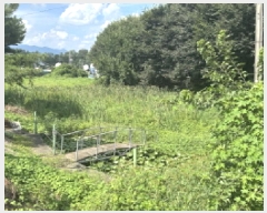  2025Ÿ��51635 ��� û�ֽ� û���� ���̸� �ݾϸ� 74     ����(��1)���