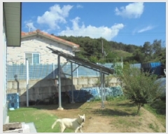  2025Ÿ��51736 ��� ������ ���Ѹ� ������ 54-11      ���ð��