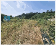  2025Ÿ��51780 ��� ���� ������ ���� 536-138      ����(�Ӿ�)���