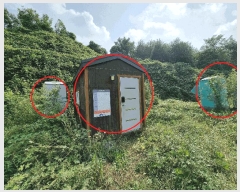  2025Ÿ��51780 ��� ���� ������ ���� 536-138      ����(�Ӿ�)���