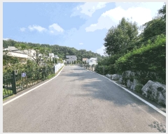  2025Ÿ��51780 ��� ���� ������ ���� 536-138      ����(�Ӿ�)���