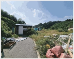  2025Ÿ��51780 ��� ���� ������ ���� 536-138      ����(�Ӿ�)���