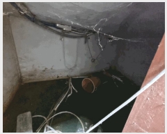  2025Ÿ��51809 ��� û�ֽ� ��籸 �뼺�� 128-54      ���ð��