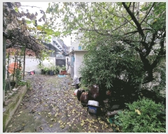  2025Ÿ��51809 ��� û�ֽ� ��籸 �뼺�� 128-54      ���ð��