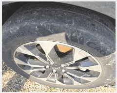  2025Ÿ��51896 û�ֽ� ������ �强�� 50-1(��ȭ������)       �������