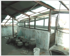  2025Ÿ��51897  �ٸ����ð��