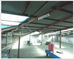  2025Ÿ��51897  �ٸ����ð��