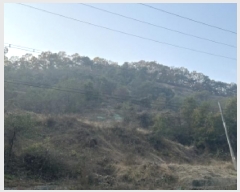  2025Ÿ��51921  �Ӿ߰��