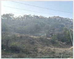  2025Ÿ��51921  �Ӿ߰��