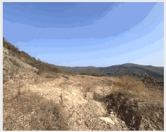  2025Ÿ��51921  �Ӿ߰��