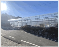  2025Ÿ��51984 ��� ���걺 ������ �ű⸮ 210      ����(��1)���