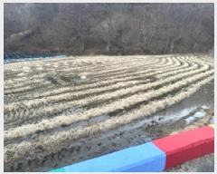  2025Ÿ��51984 ��� ���걺 ������ �ű⸮ 210      ����(��1)���