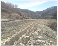  2025Ÿ��51984 ��� ���걺 ������ �ű⸮ 210      ����(��1)���