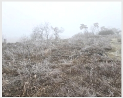  2025Ÿ��33 ��� ���ֽ� �Ӽ��� ��õ�� 285-7      ����(��1)���