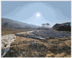  2025Ÿ194  ֽ ¸ ̸ 33      (Ӿ)