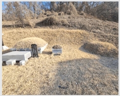  2025Ÿ194  ֽ ¸ ̸ 33      (Ӿ)