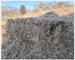  2025Ÿ194  ֽ ¸ ̸ 33      (Ӿ)