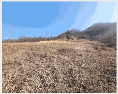  2025Ÿ194  ֽ ¸ ̸ 33      (Ӿ)