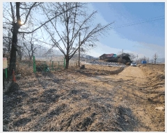  2025Ÿ194  ֽ ¸ ̸ 33      (Ӿ)