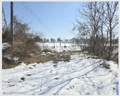  2025Ÿ255   ͵  371      ()