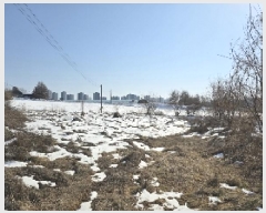  2025Ÿ255   ͵  371      ()