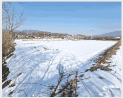  2025Ÿ330   Ｚ  438      ()