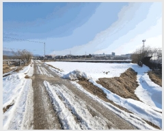  2025Ÿ330   Ｚ  438      ()