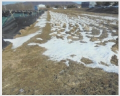  2025Ÿ330   Ｚ  438      ()