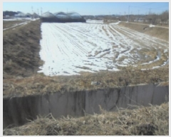  2025Ÿ330   Ｚ  438      ()