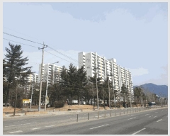  2025Ÿ378  ֽ ĥݵ 821 οƮ 104 141408ȣ    Ʈ