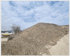  2025Ÿ��415 ��� ���ֽ� �ִ��� �� 235-2      ����(��1)���