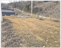  2025Ÿ��491 ��� ���ֽ� ��ҿ��� ������ 89      ���ð��