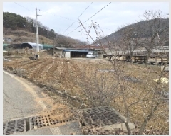  2025Ÿ��491 ��� ���ֽ� ��ҿ��� ������ 89      ���ð��