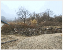  2025Ÿ��750  ���ð��