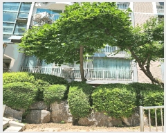  2025Ÿ��1487  ����Ʈ���