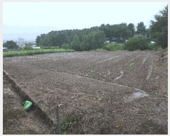  2025Ÿ��1524  �����