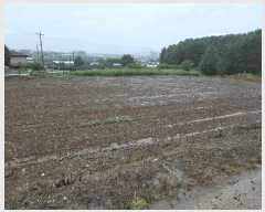  2025Ÿ��1524  �����