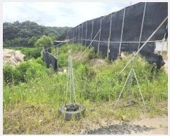  2025Ÿ��1654 ��� ������ ���ظ� �۰ 225      ������