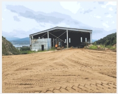  2025Ÿ��1654 ��� ������ ���ظ� �۰ 225      ������