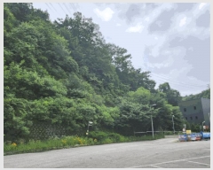  2025Ÿ��1654 ��� ������ ���ظ� �۰ 225      ������