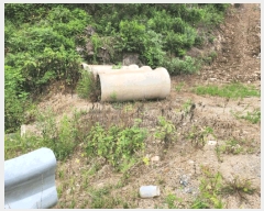  2025Ÿ��1654 ��� ������ ���ظ� �۰ 225      ������